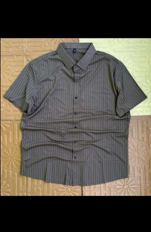 Shirts and T Shirts